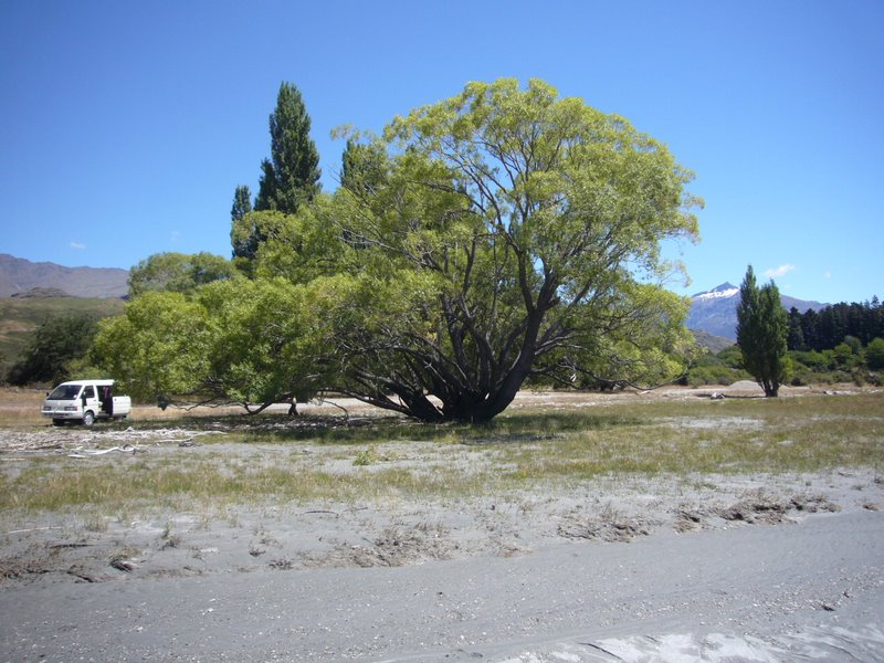 Travel - New Zealand - Glendhu Bay